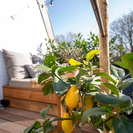 & Loft Bed & Breakfast 4*