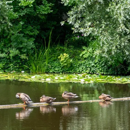 & Loft לינה וארוחת בוקר 4*