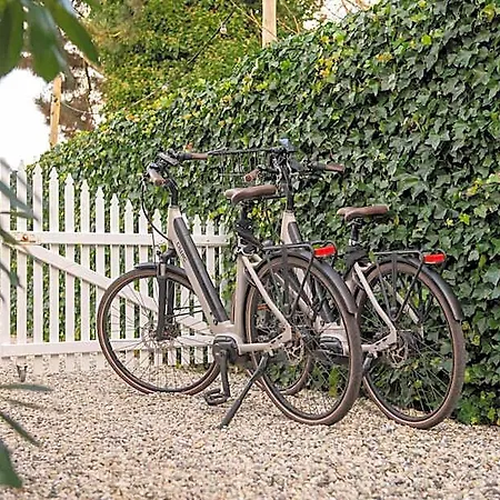 Bed & Breakfast & Loft Sassenheim
