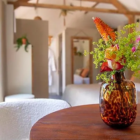 Bed & Breakfast & Loft Sassenheim
