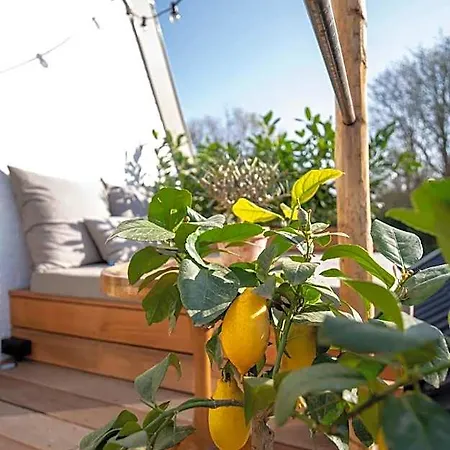 & Loft