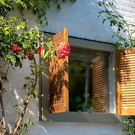 & Loft Bed & Breakfast Sassenheim
