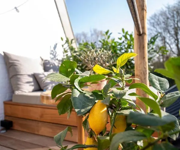 & Loft Bed & Breakfast 4*