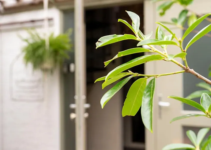 & Loft Bed & Breakfast