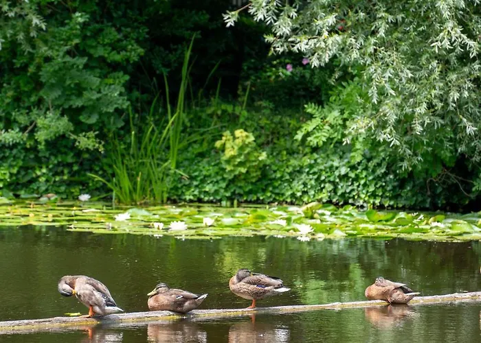 & Loft Couette-café 4*