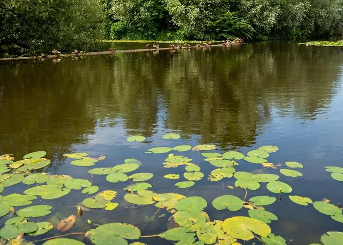 & Loft Bed & Breakfast Sassenheim