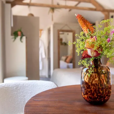 & Loft Alojamento de Acomodação e Pequeno-almoço Sassenheim