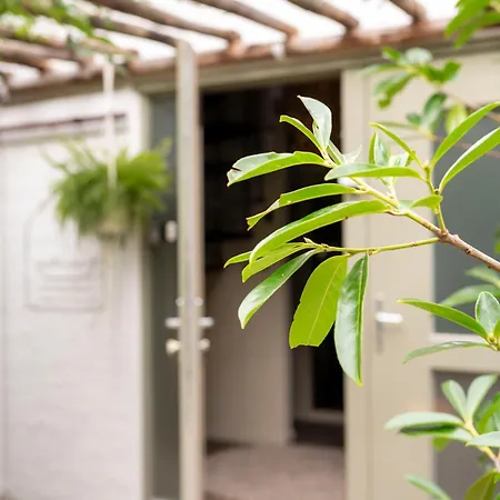 & Loft Bed & Breakfast