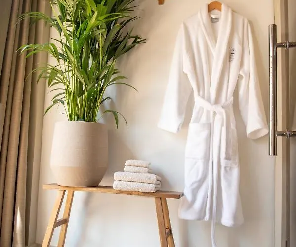 & Loft Bed & Breakfast Sassenheim