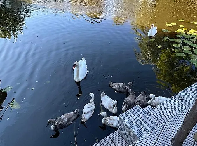 Bed & Breakfast & Loft